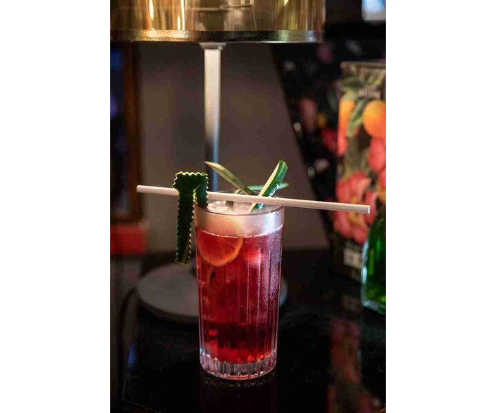 RCR Cristalleria  Longdrink - Highball glass 44 cl  " Timeless "