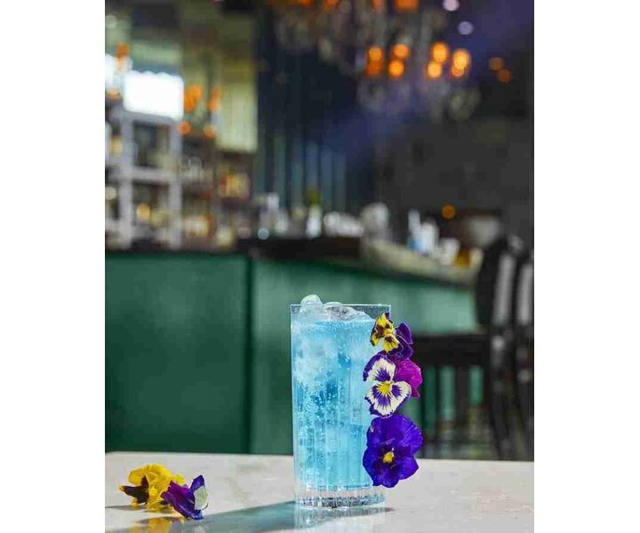 RCR Cristalleria  Longdrink - Highball glas 44 cl  " Timeless "