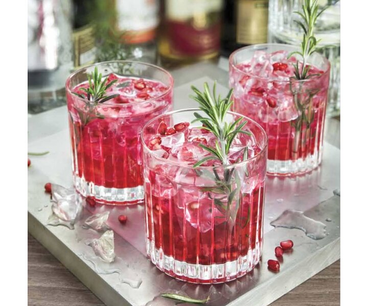 RCR Cristalleria  Whisky - soda glas 31 cl  " Timeless "