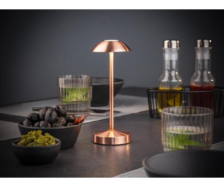 M&T Table lamp rechargable  " Alav " copper look height 20 cm