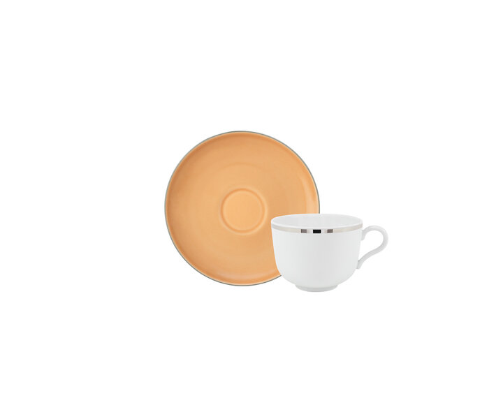 PORCEL  Cup 28 cl & saucer Ø 15 cm  " Apricot Platinum "