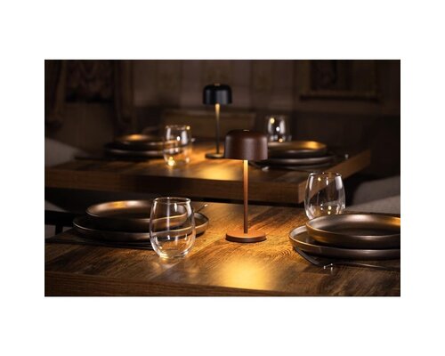 M&T Lampe de table rechargable " IBIZA  "  marron hauteur 20 cm