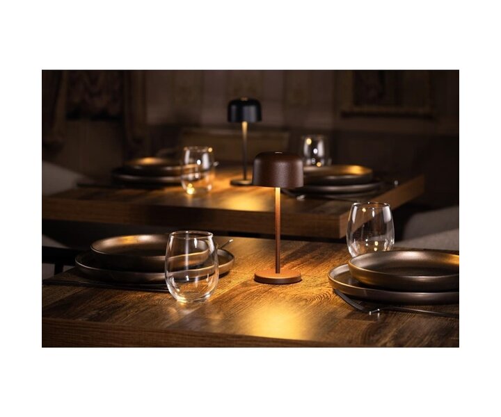 M&T Lampe de table rechargable " IBIZA  "  marron hauteur 20 cm