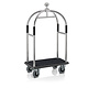 Paris bagagetrolley (zilver, zwart tapijt)