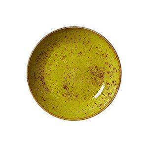 STEELITE  Assiette creuse Ø  21,5 cm modèle coupe  " Craft Apple "