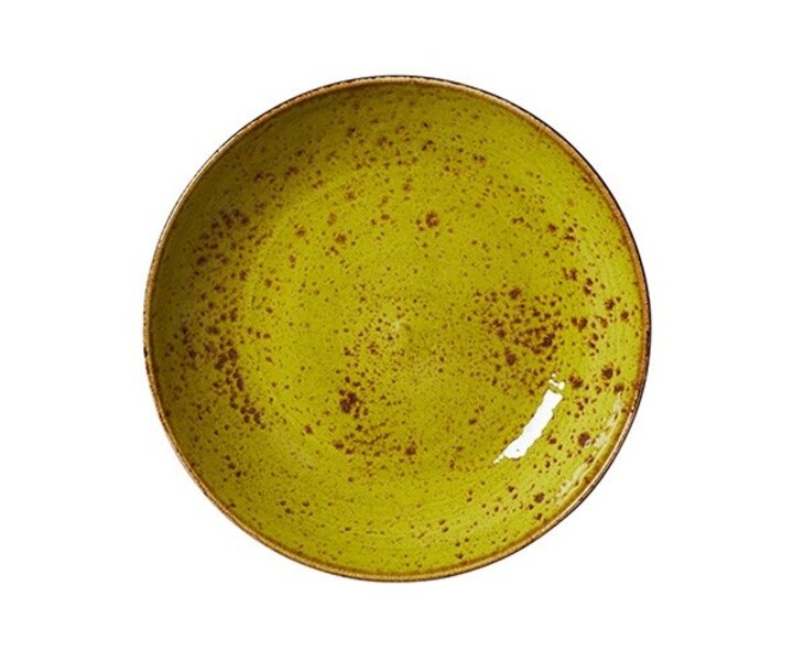 STEELITE  Deep plate /  gourmet bowl   Ø  21,5 cm coupe shape " Craft Apple "