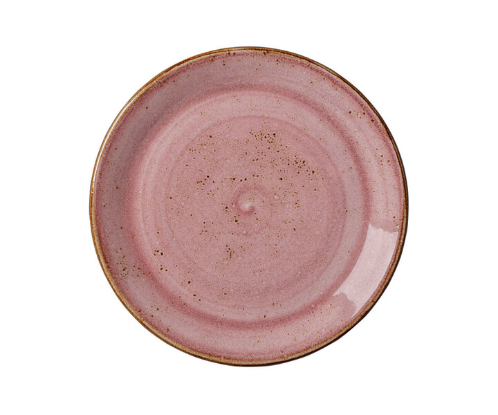 STEELITE  Assiette  plate Ø 25,5 cm modèle coupe  " Craft Raspberrry "