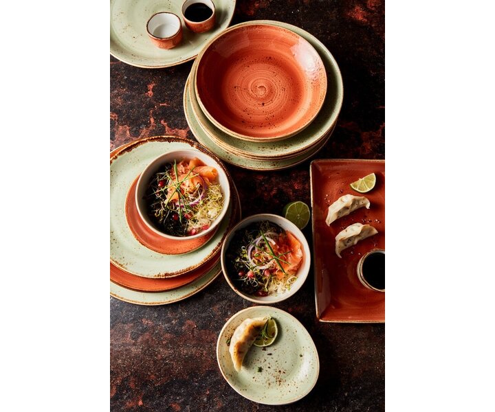 STEELITE  Deep  gourmet plate / bowl  Ø 21,5 cm coupe shape " Craft Terracotta "