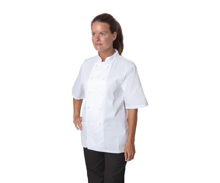 M&T Whites Boston Unisex Short Sleeve Chef Jacket White