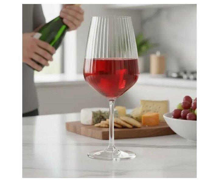 PASABAHCE Verre à vin vin 49 cl  " Allegra Focus Optic "