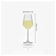 PASABAHCE Verre à vin vin 35 cl  " Allegra Focus Optic "