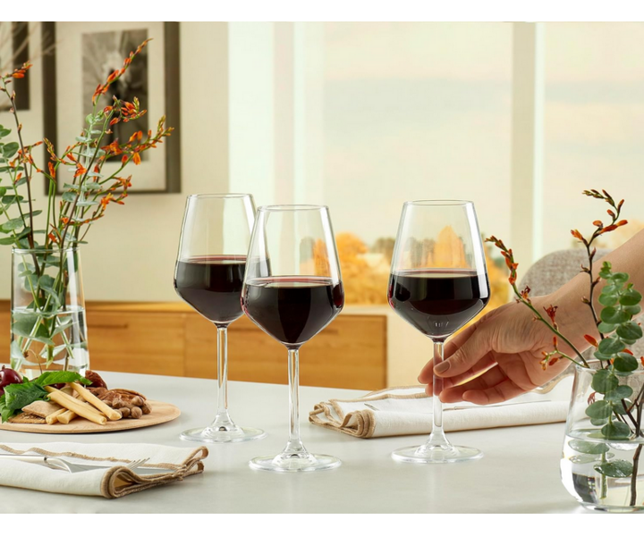 PASABAHCE Wine glass 47 cl  " Allegra "