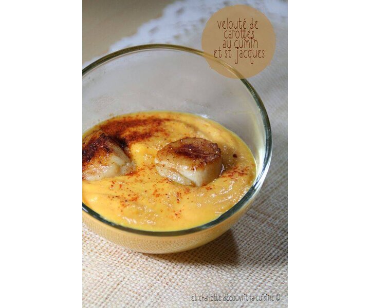 ARCOROC  Amuse Versaltile 12 cl