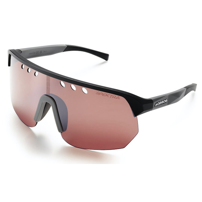 Assos DONZI EYEWEAR - CHROME