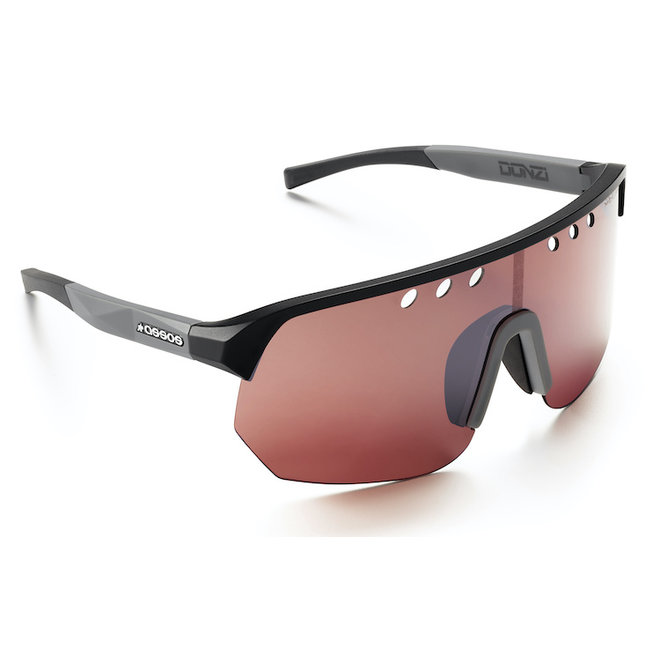 Assos DONZI EYEWEAR - CHROME