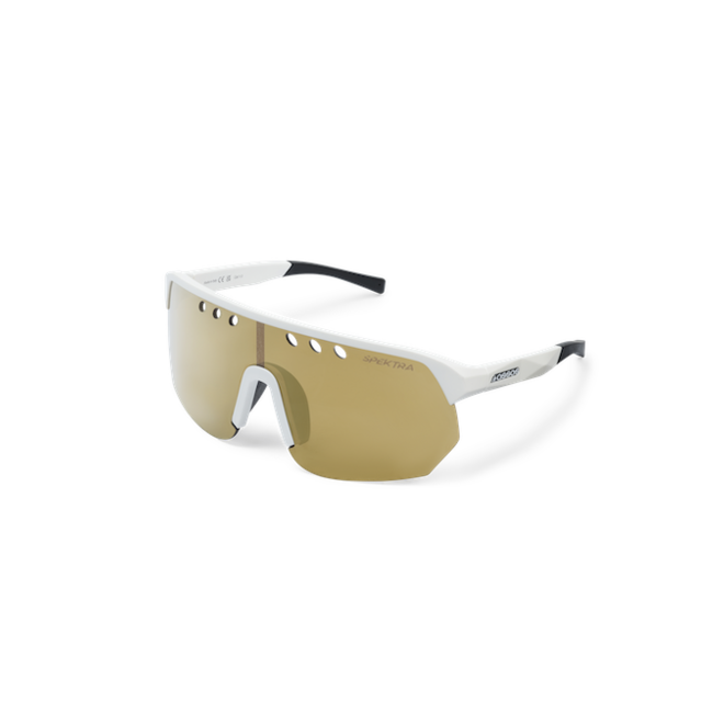 Assos DONZI EYEWEAR - GOLD