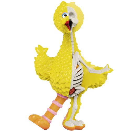 Mighty Jaxx Big Bird (Sesame Street) XXRAY Plus by Jason Freeny