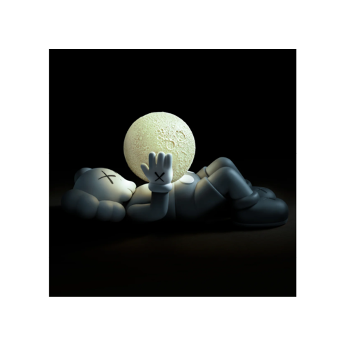 AllRightsReserved 10" Holiday Shanghai (Grey) by KAWS