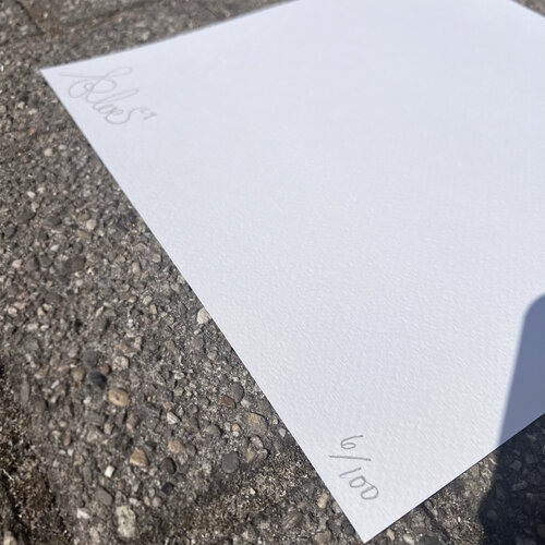 Kloes Mono Duck Print (30x30) by Kloes