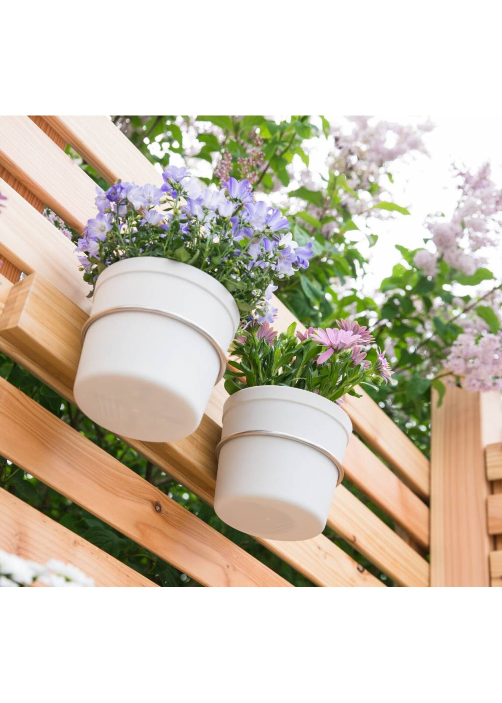 Hecht International 203700108-HE Kräuter Blumen Balkon Blumentopfhalter FLORES