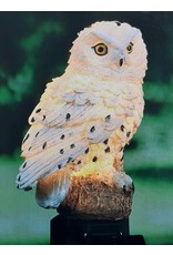 HI 70209 LED Solar Gartenstecker Eule