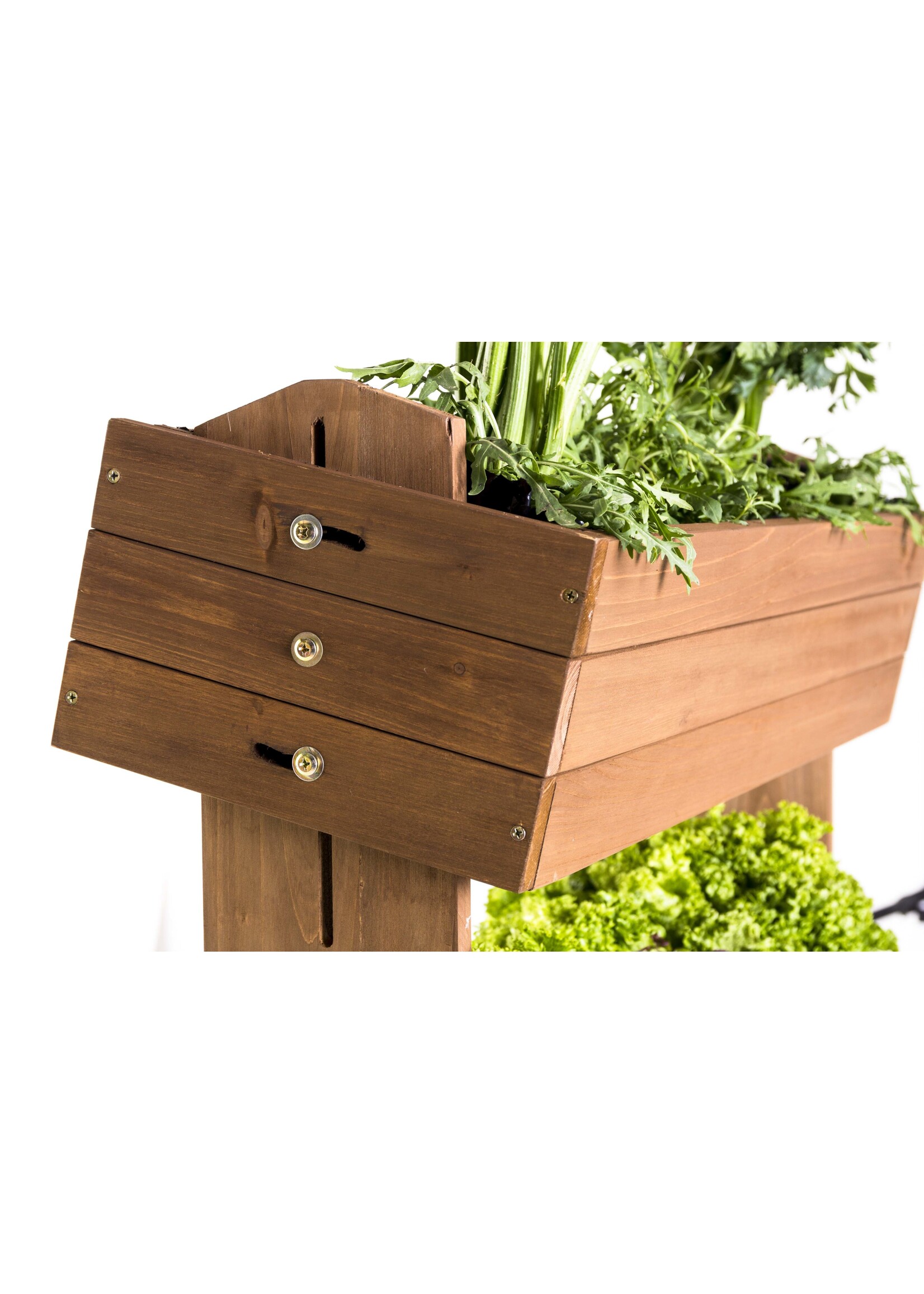 Hochbeet Beet mit Rankseilen H145cm B50cm aus Holz 301970308-HE