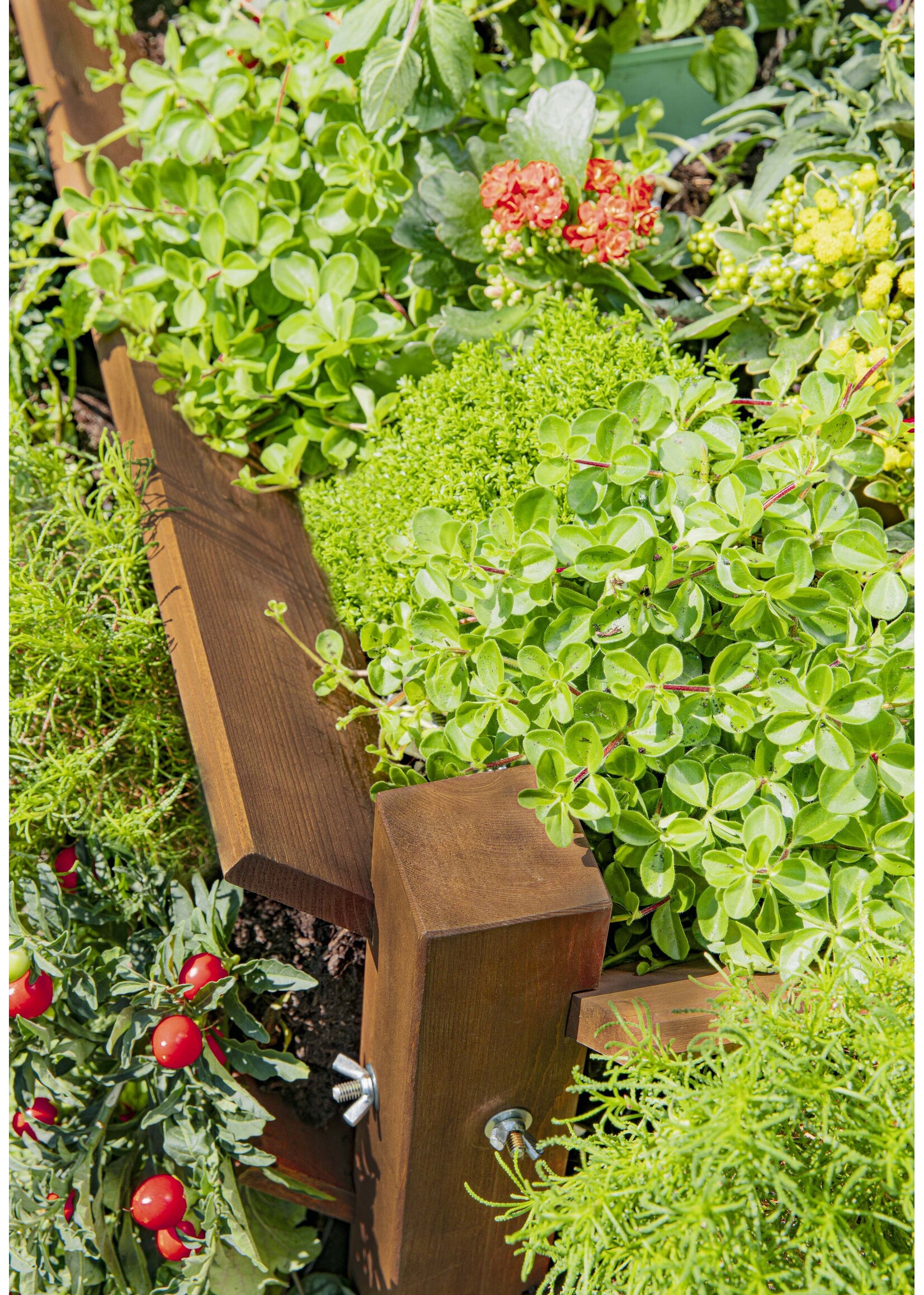Kräuter Hochbeet 124x90x73cm aus Holz 303910108-HE
