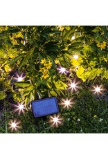 HI 70452 LED Solar Pflanzenstrahler mit 10 Strahlern