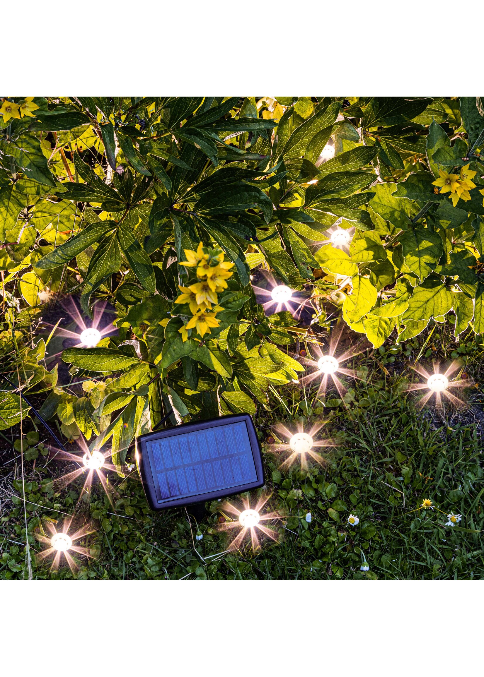 HI 70452 LED Solar Pflanzenstrahler mit 10 Strahlern