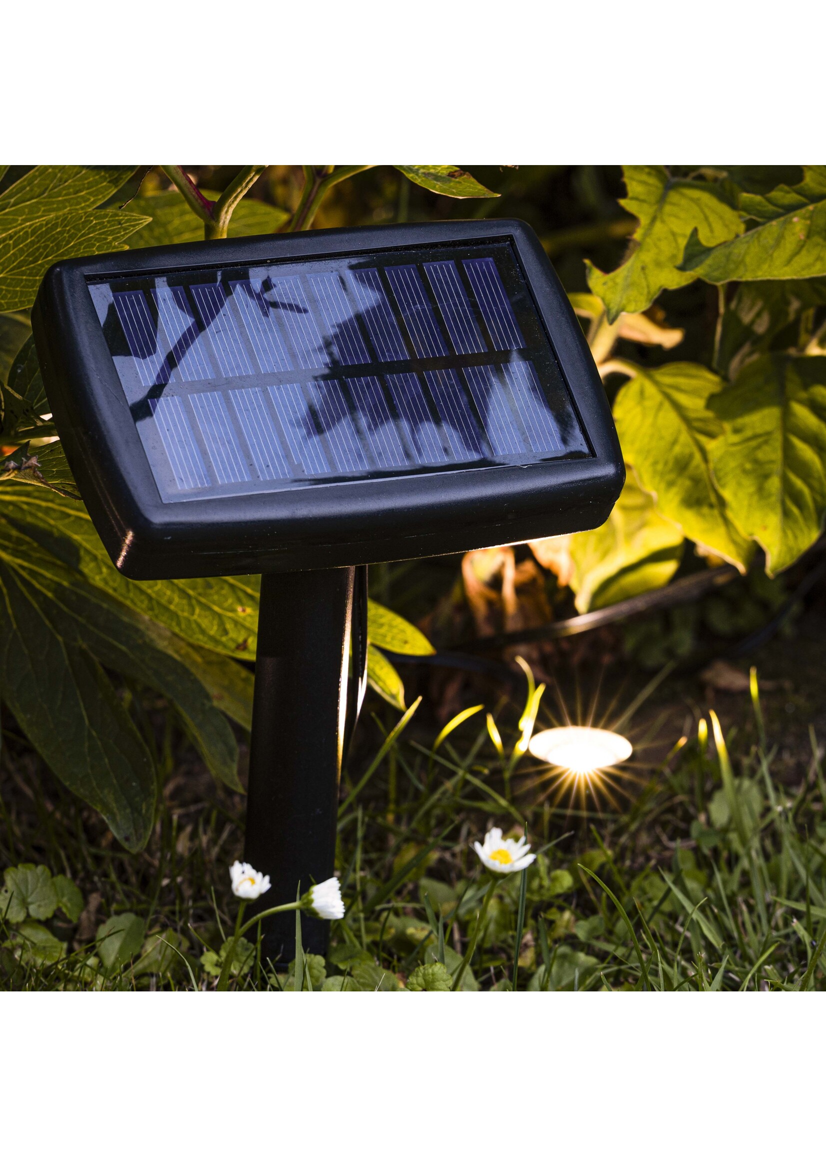 HI 70452 LED Solar Pflanzenstrahler mit 10 Strahlern