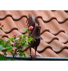 Dachrinnen und Zaun-Figur Hahn 1977