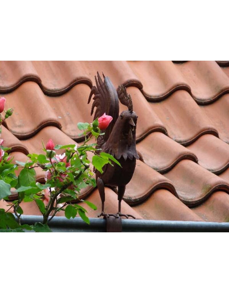 Dachrinnen und Zaun-Figur Hahn 1977