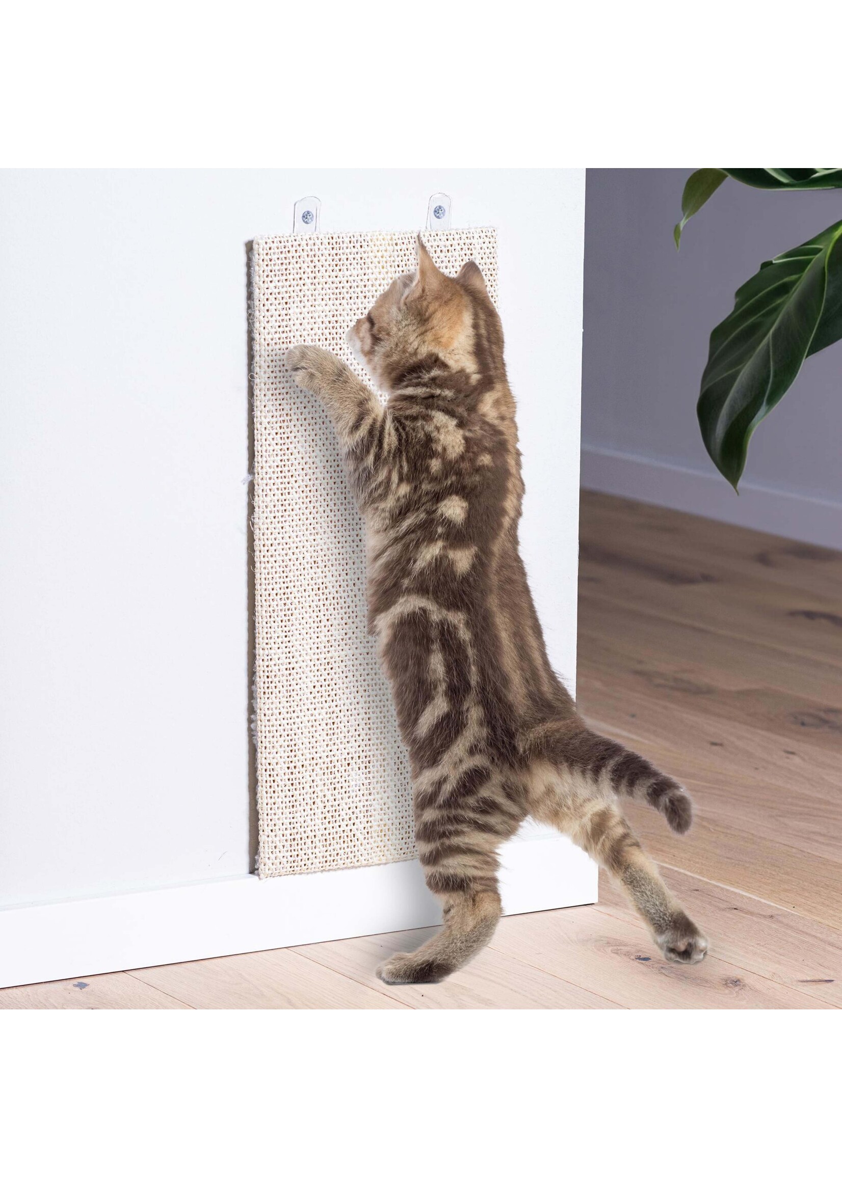 Katzenkratzbrett aus Sisal ca. 50 x 22cm 49016