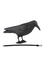 Rabe Dekofigur Taubenschreck Taubenabwehr Vogelscheuche 38cm 57014