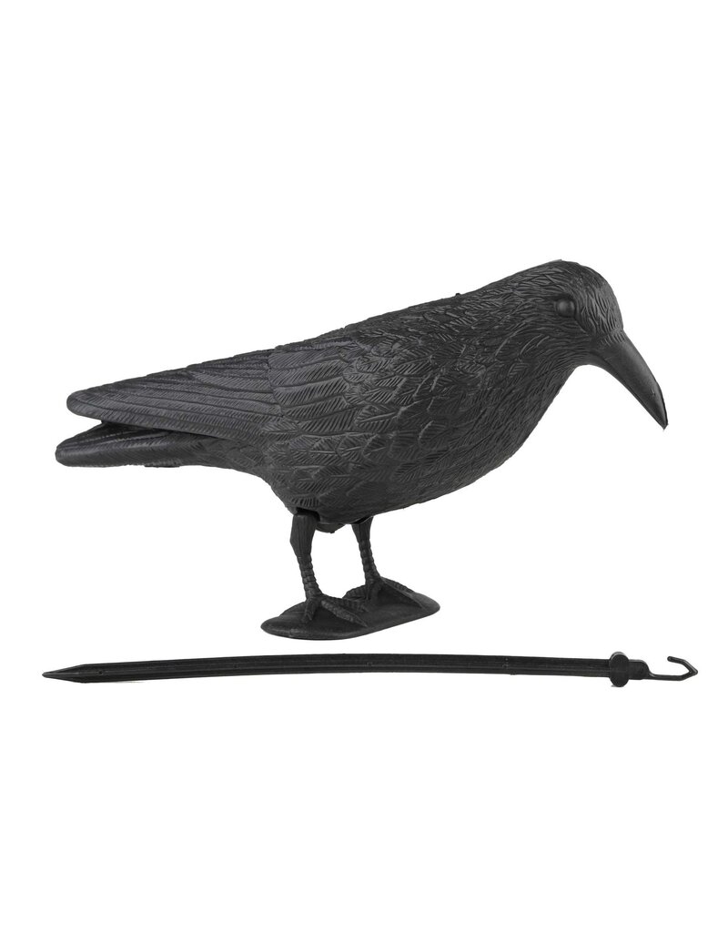 Rabe Dekofigur Taubenschreck Taubenabwehr Vogelscheuche 38cm 57014
