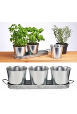 Kräutertopf Kräutertöpfe Set bestehend aus 3 Töpfen und Untersetzer 16138