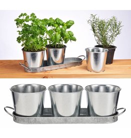 Kräutertopf Kräutertöpfe Set bestehend aus 3 Töpfen und Untersetzer 16138