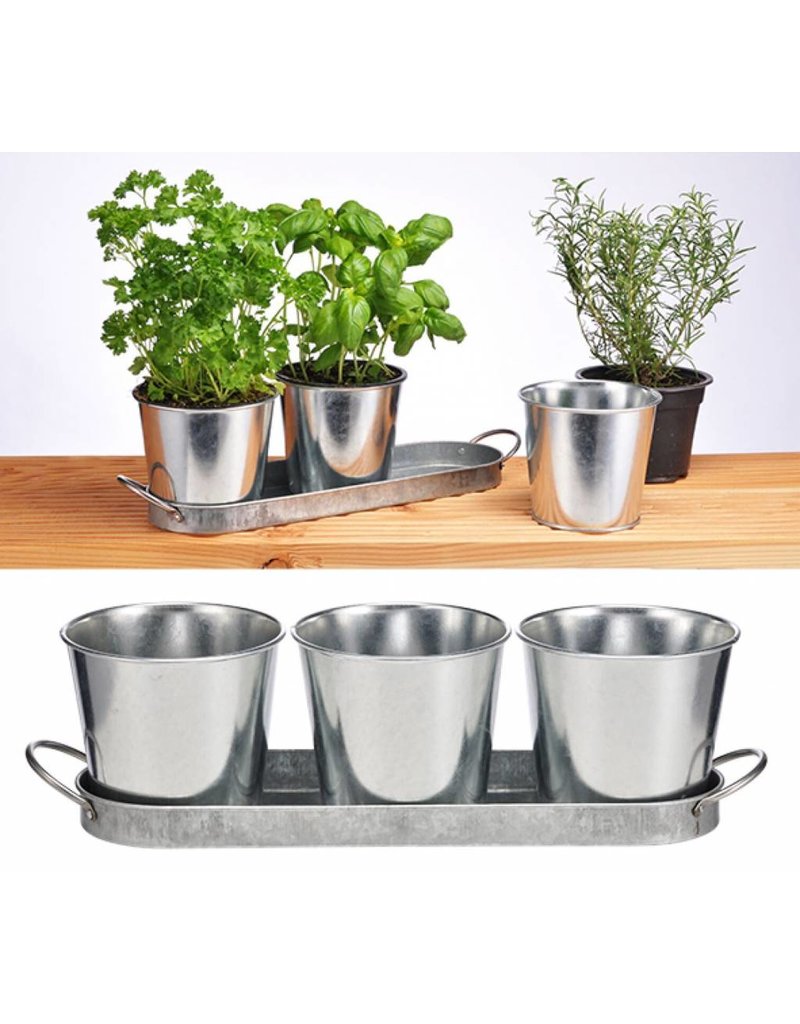 Kräutertopf Kräutertöpfe Set bestehend aus 3 Töpfen und Untersetzer 16138