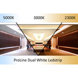 AppLamp ProLine PRO LINE COB Dual Wit 2300K~5000K CCT Led Strip |5m COB 640 Pixels pm 24V - Losse Strip