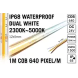 AppLamp ProLine 1m IP68 PRO LINE COB Dual Wit 2300K~5000K CCT Led Strip |  COB 640 Pixels pm 24V - Losse Strip