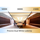 AppLamp ProLine PRO LINE COB Dual Wit 2300K~4500K CCT Led Strip |5m COB 640 Pixels pm 24V - Losse Strip