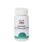 Mattisson Marine Phytoplankton 60 capsules