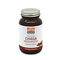 Mattisson Absolute Chaga Mushroom 350 mg