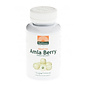Mattisson Absolute Amla Berry extract 500 mg