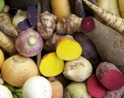 Aarde, wortels en knollen