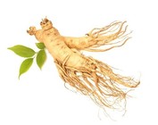 Ginseng