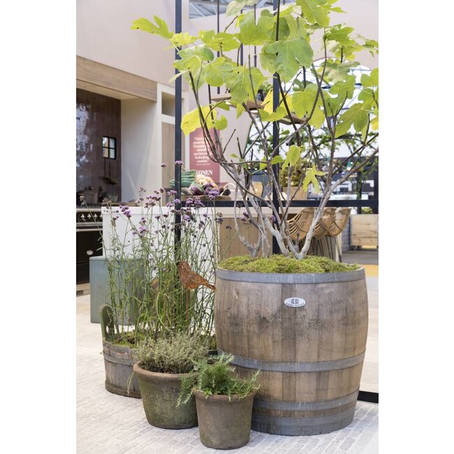 Wijnvat kuip 3/4 "Brandy"