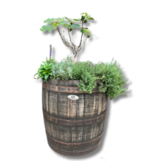 Barrel Atelier Wooden Planter Black Edition - Copy