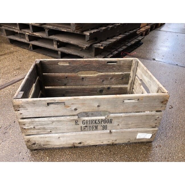 Fruitkist Groot met Gaasbodem