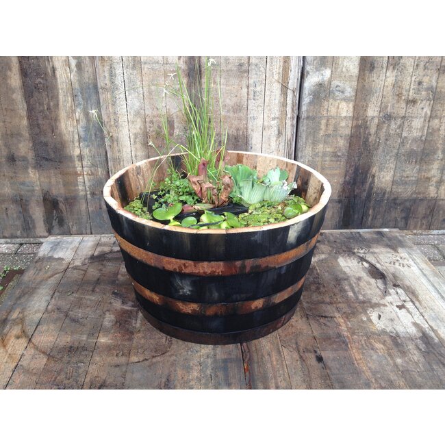 Kuip 'DOURO' Old Look Kastanje hout